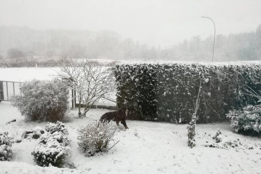 Scandinavie Vlak Bij Huis Villa Laarne Esterno foto